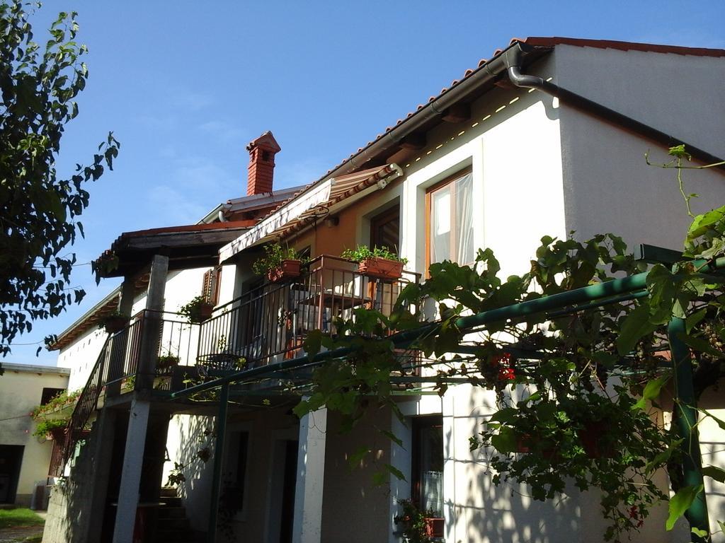 Kmetija Medljan Villa Izola Buitenkant foto