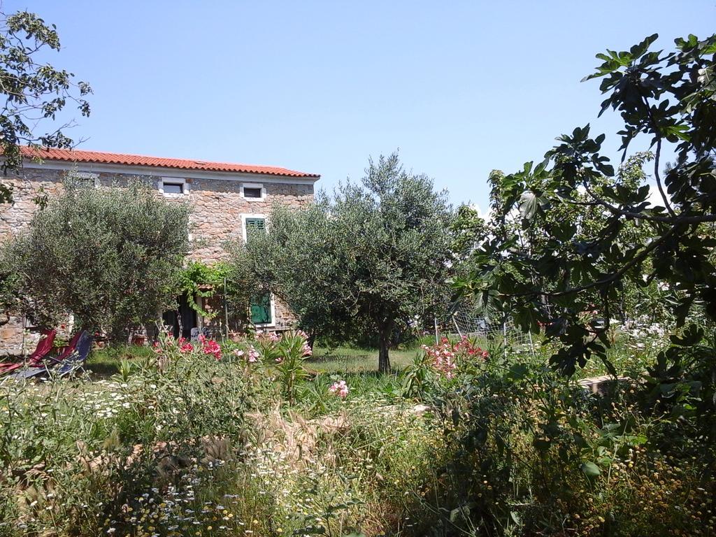 Kmetija Medljan Villa Izola Buitenkant foto